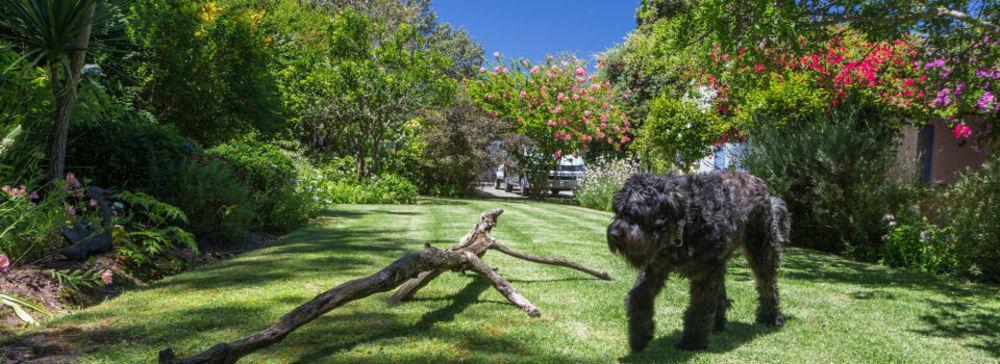 Cornerway House Hotel Plettenberg Bay Exterior foto